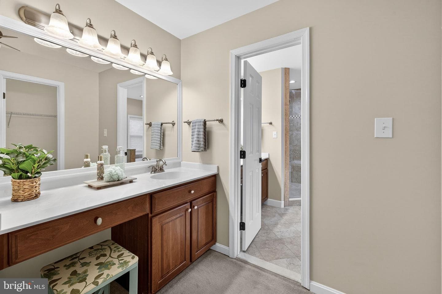 7243 Windsor Court photo 58