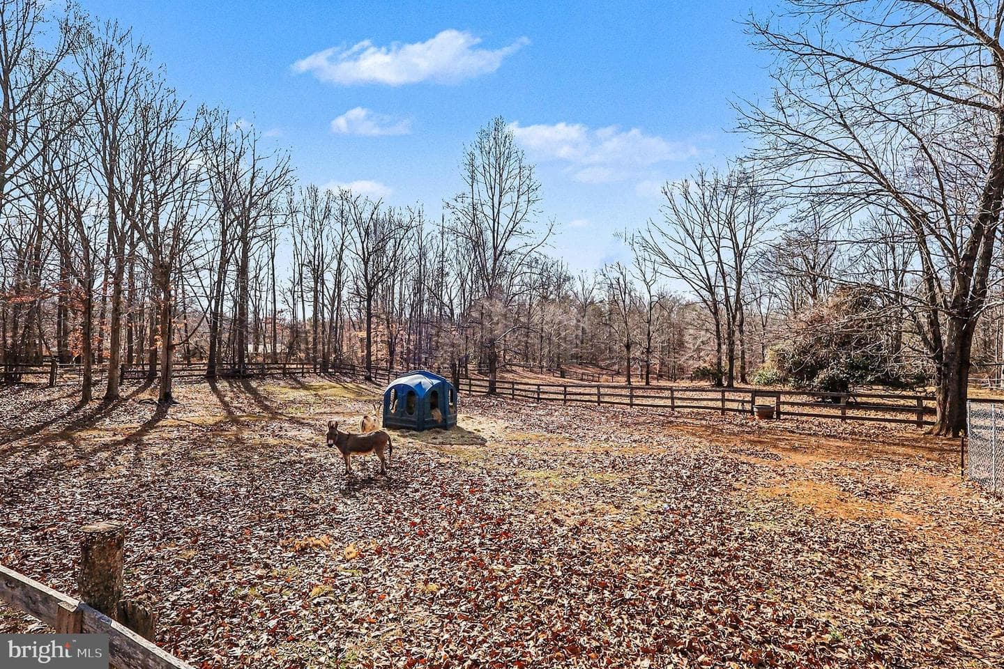 8318 Diamond Hill Road photo 74