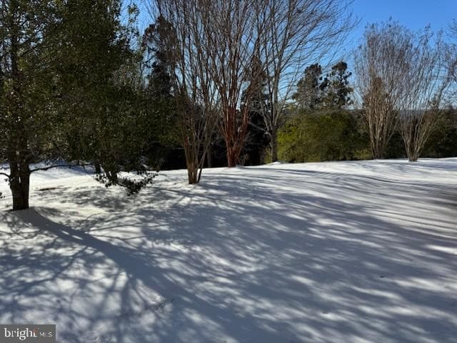 158 N View Circle photo 59