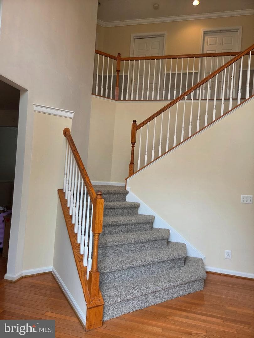 6671 Clarkes Meadow Drive photo 3