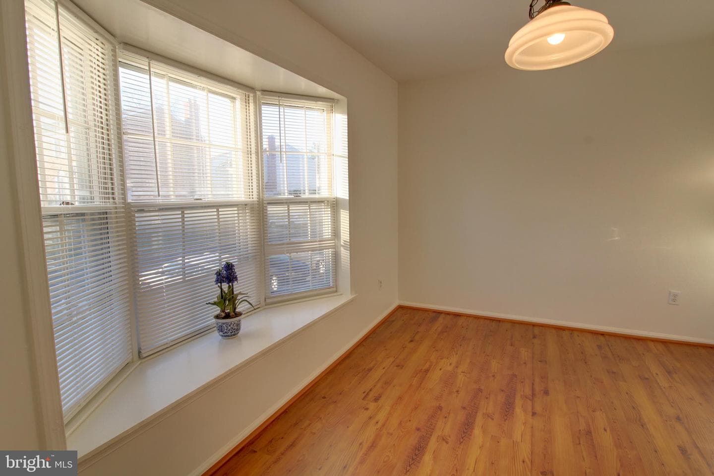 128 Fairfield Street #b photo 4