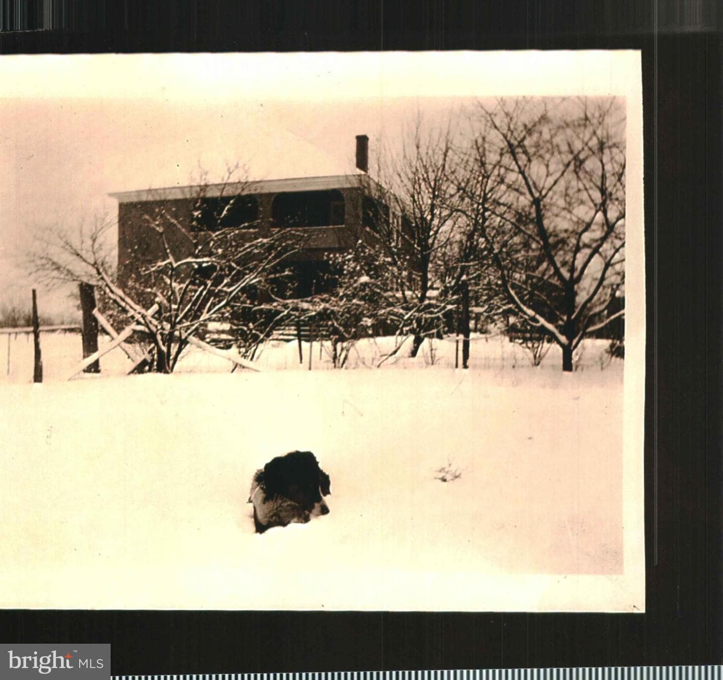 4048 Rectortown Road photo 35