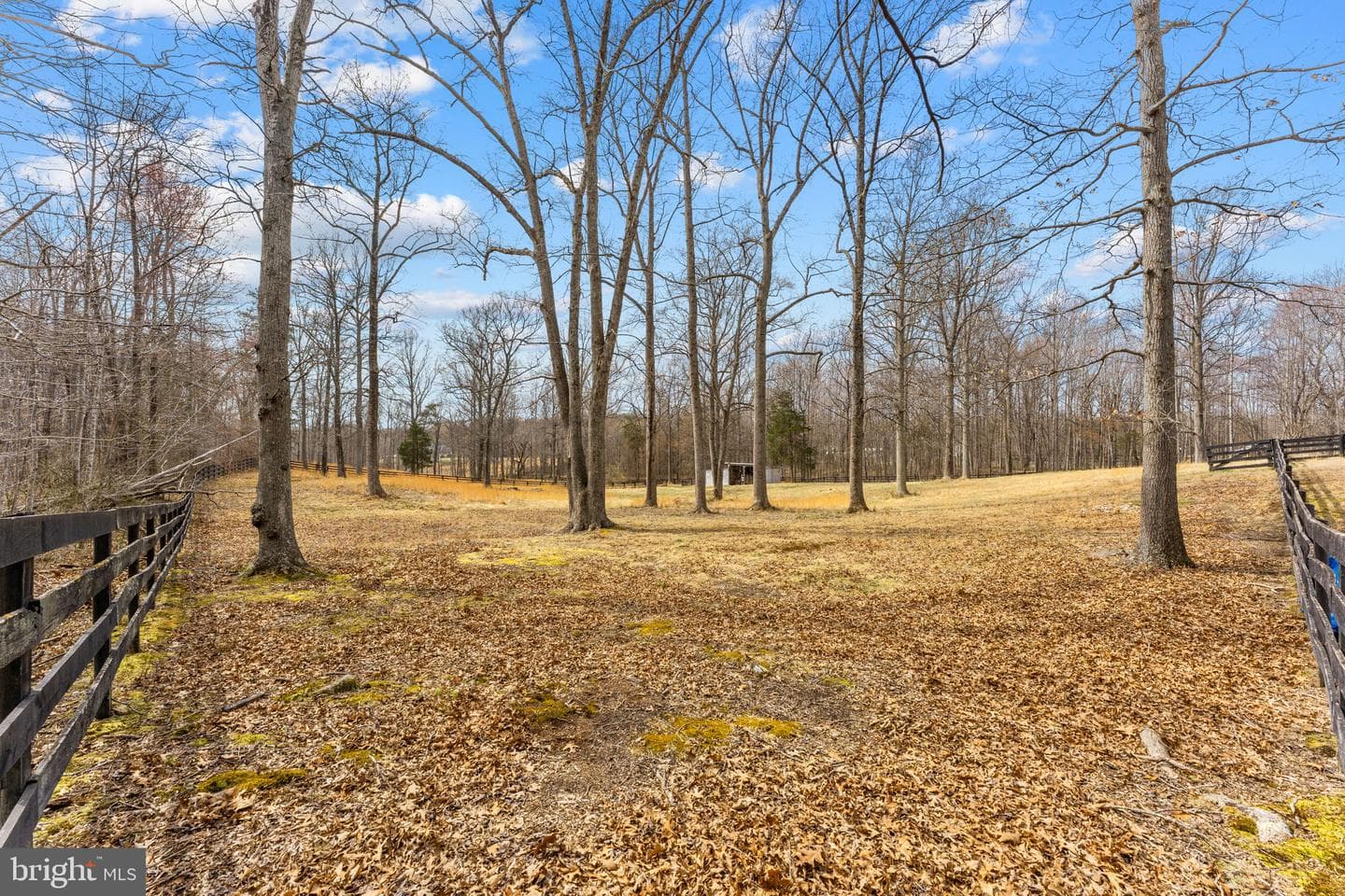 10507 Cliff Mills Road photo 56