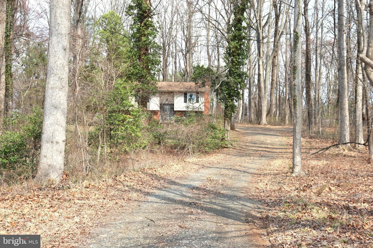 9305 Lees Ridge Road photo 33