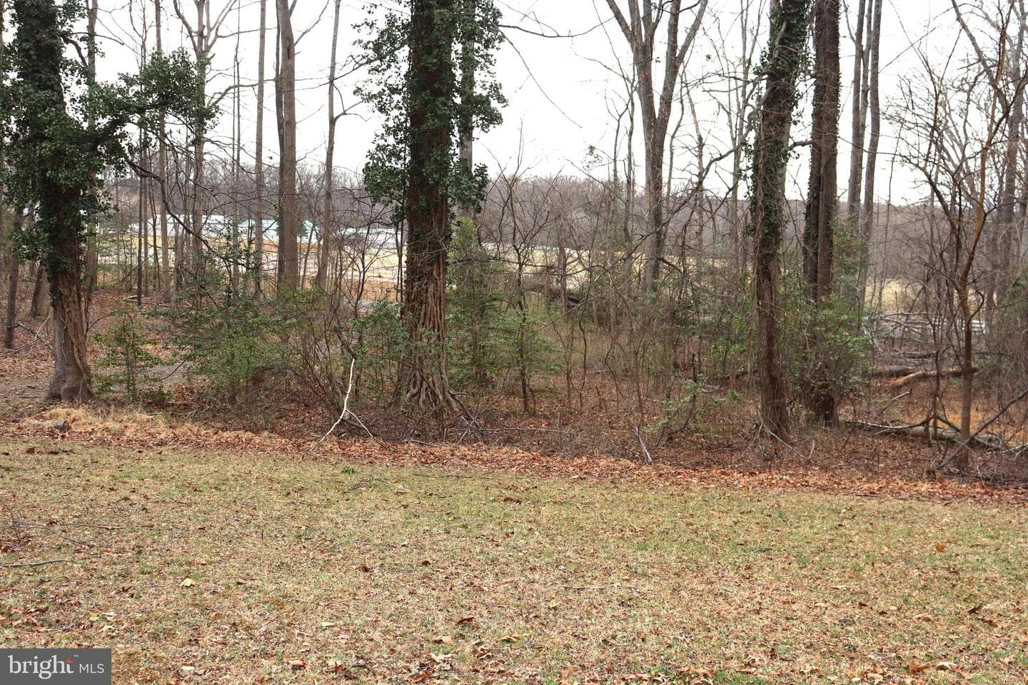 9305 Lees Ridge Road photo 35