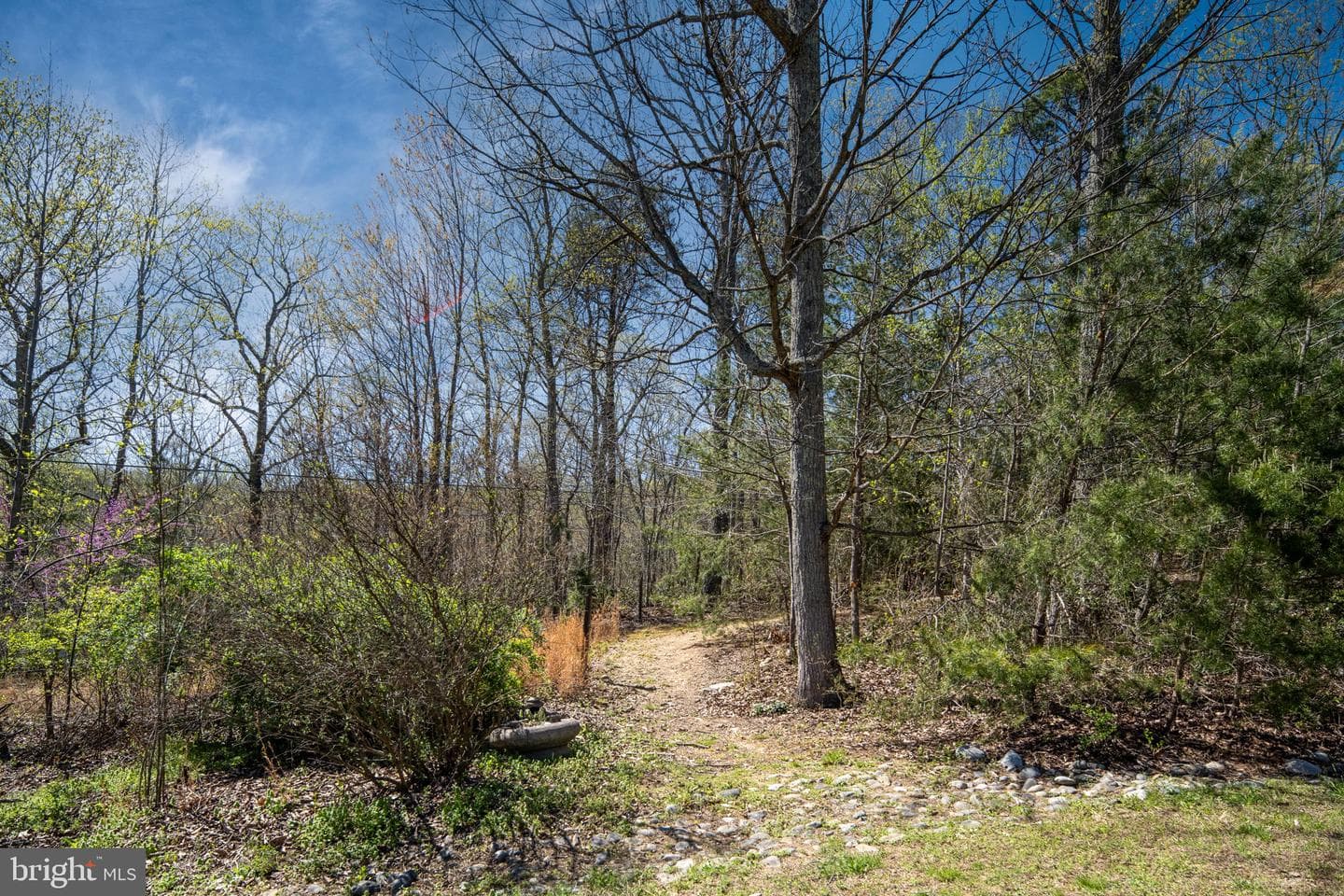 4752 Greene Love Lane photo 71