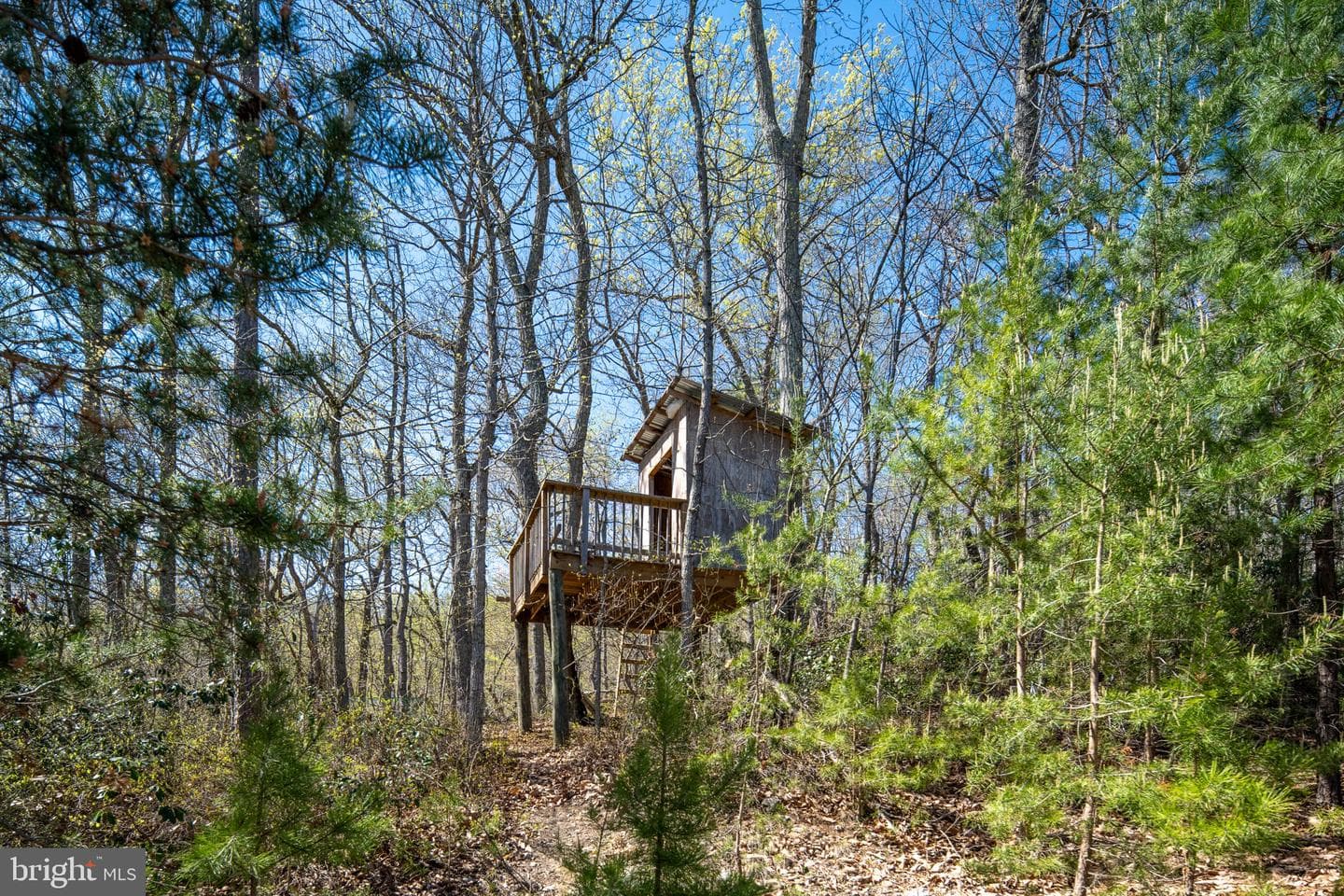 4752 Greene Love Lane photo 91