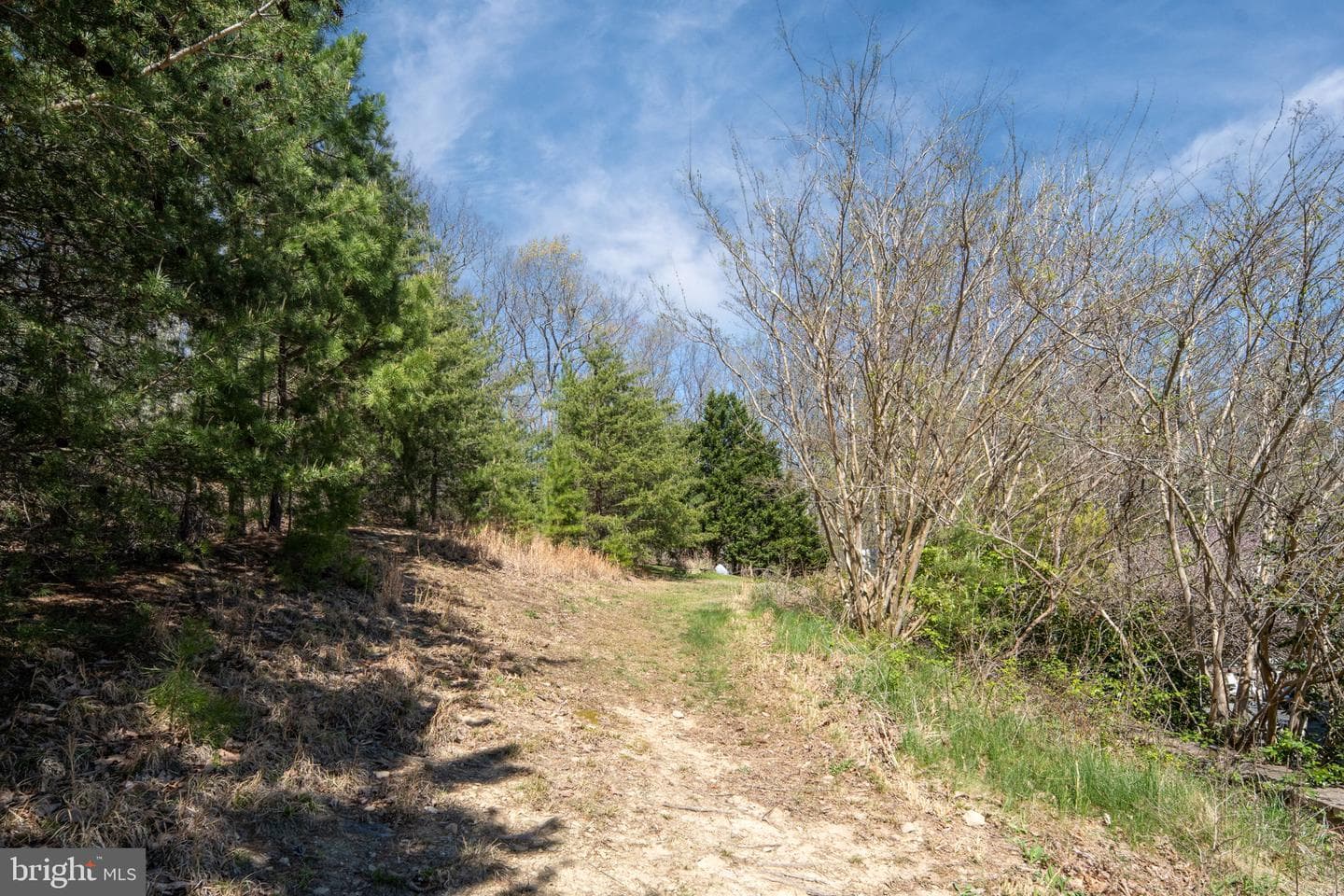 4752 Greene Love Lane photo 95