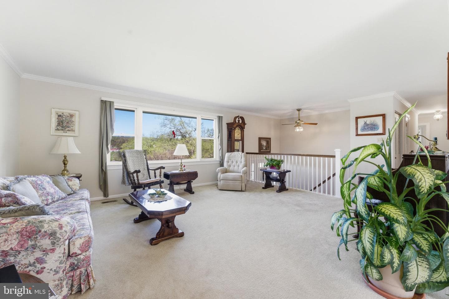 6163 Georgetown Road photo 16