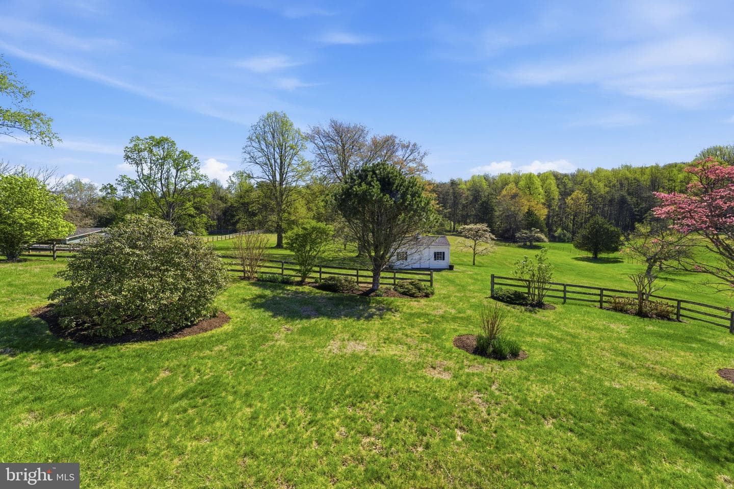 6163 Georgetown Road photo 60