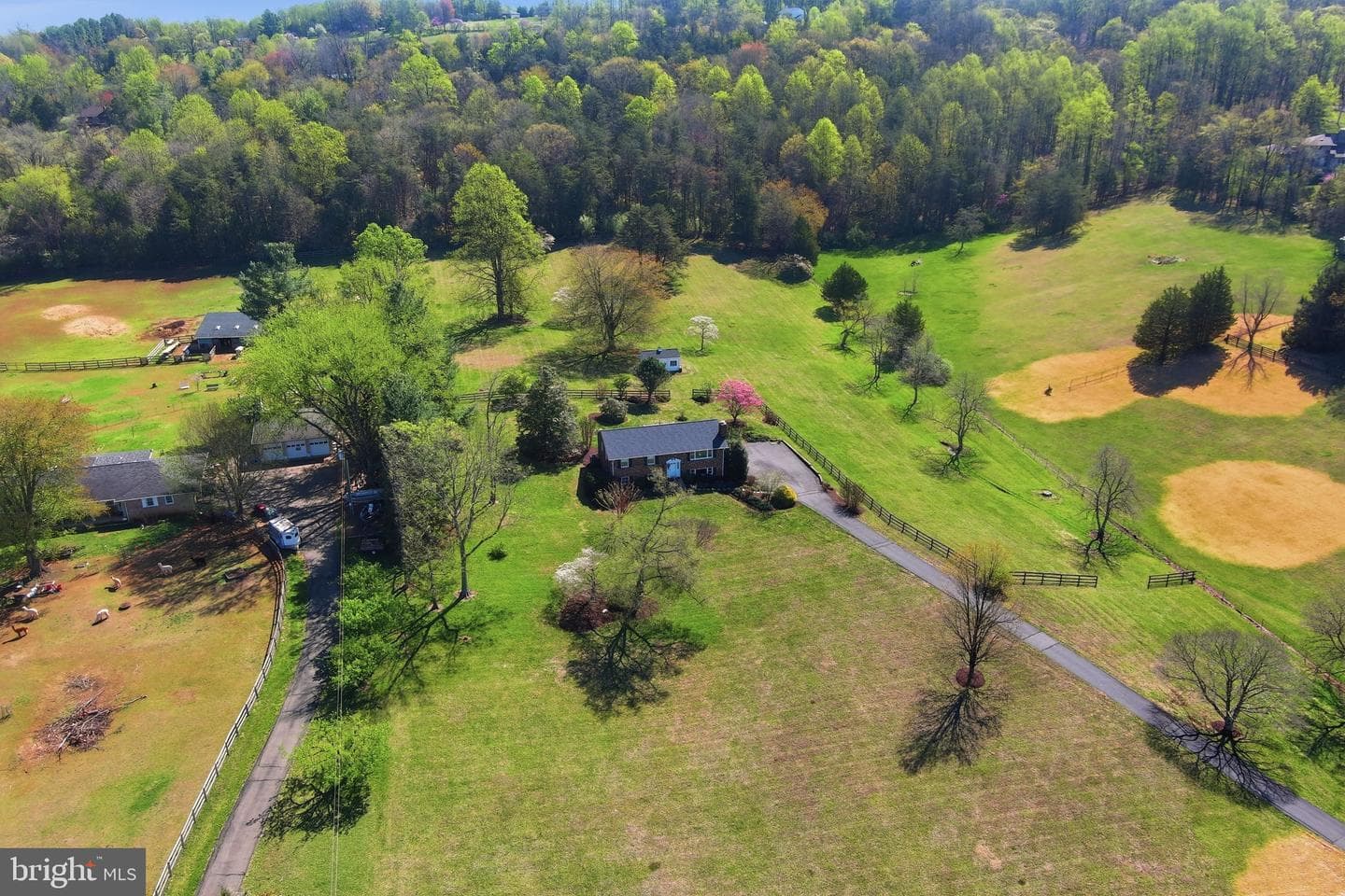 6163 Georgetown Road photo 69