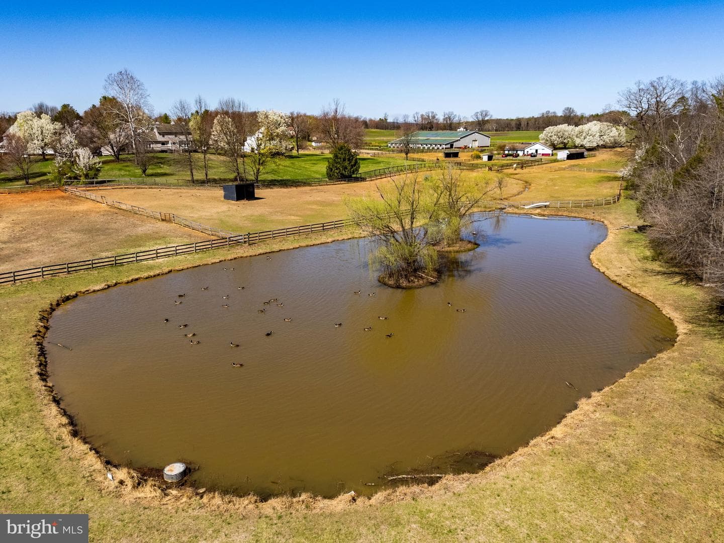 7453 Opal Road photo 47