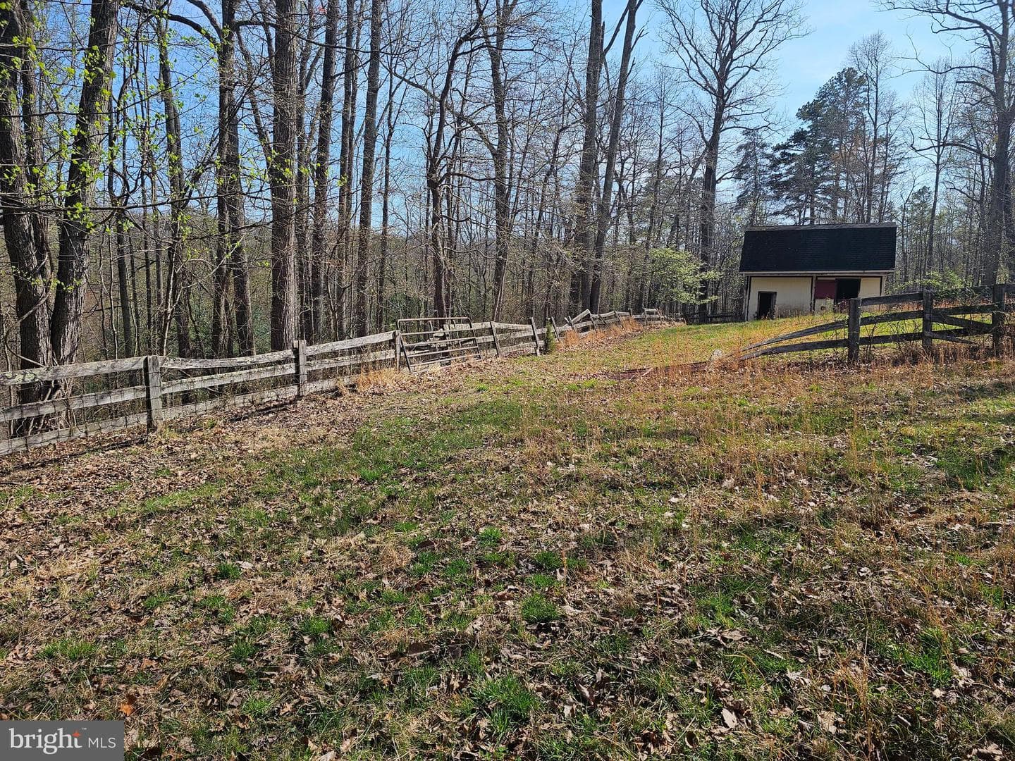 9373 Walden Lane photo 38