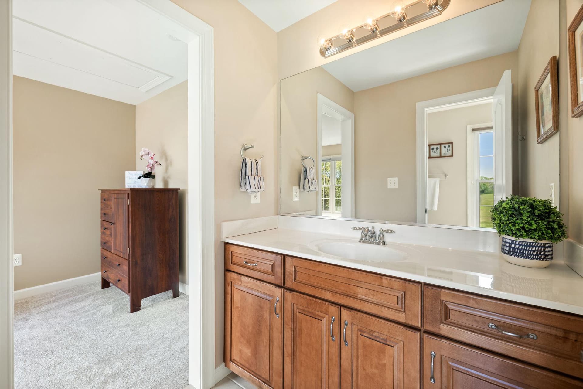 10287 Trylec Lane photo 55