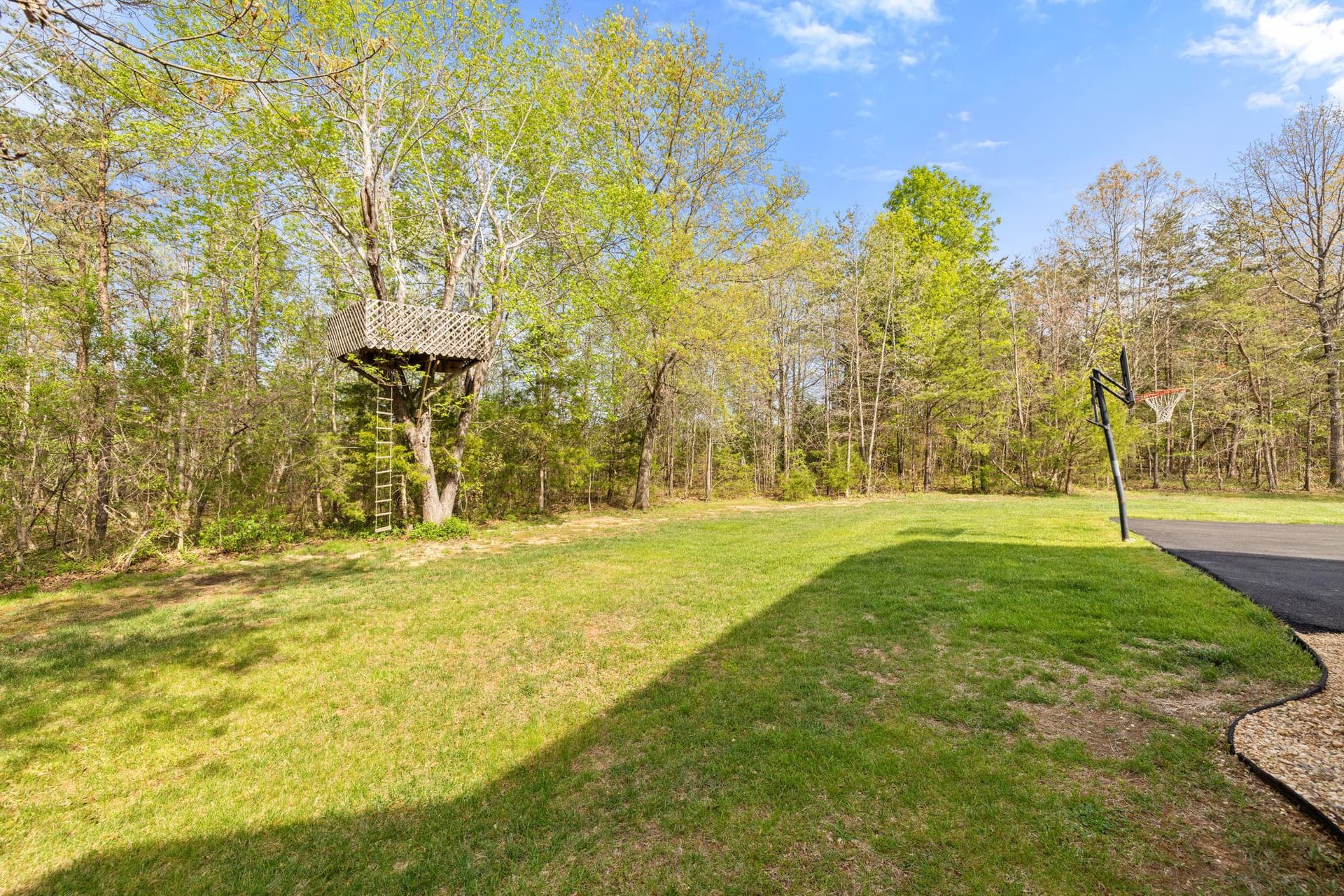 10287 Trylec Lane photo 94