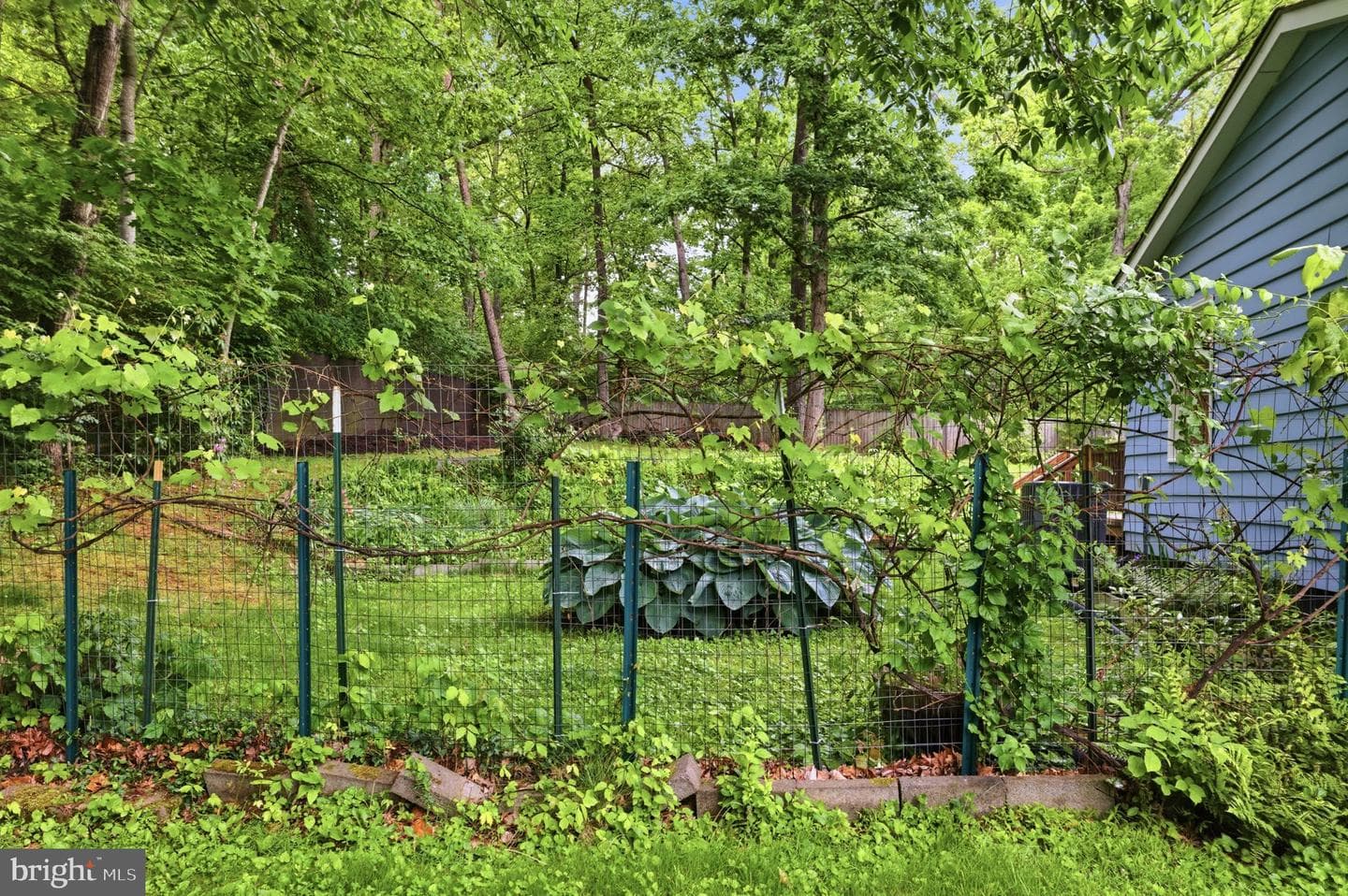 7338 Stuart Circle photo 44