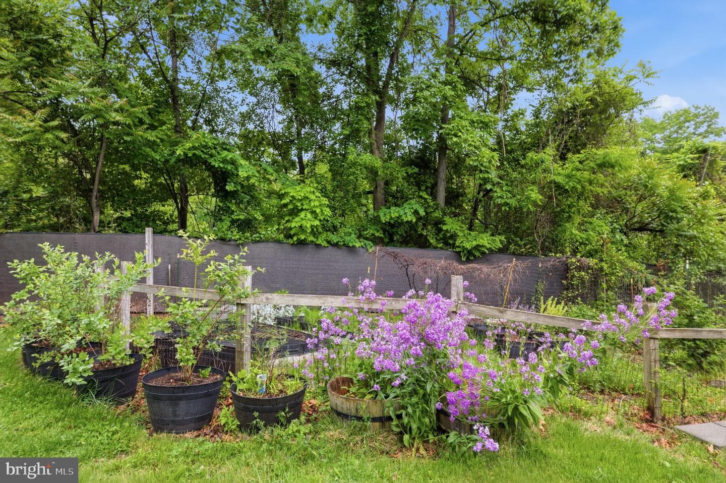 7338 Stuart Circle photo 56