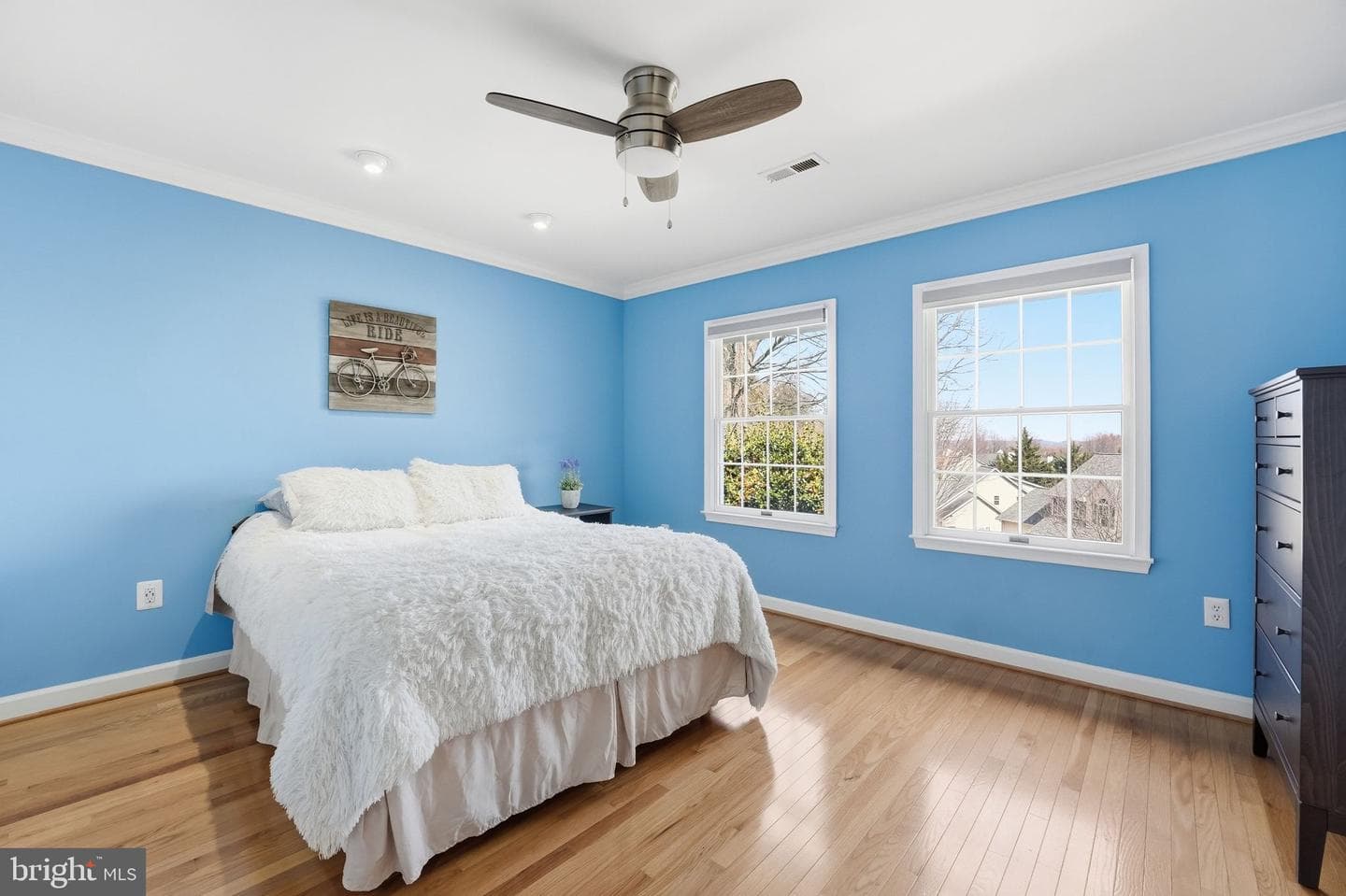 114 Erin Drive photo 42