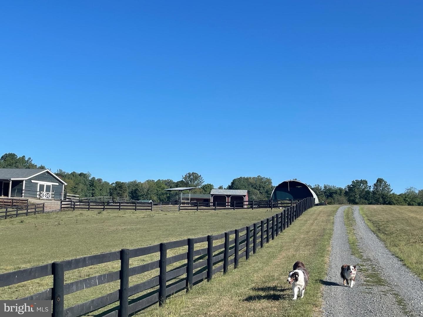 7747 Riverside Farm Road photo 52