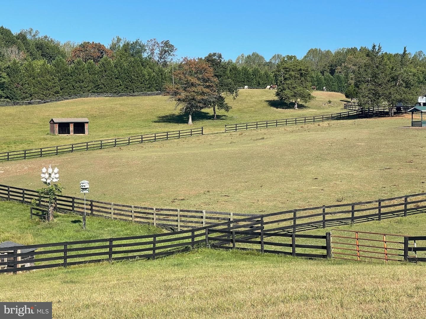 7747 Riverside Farm Road photo 56