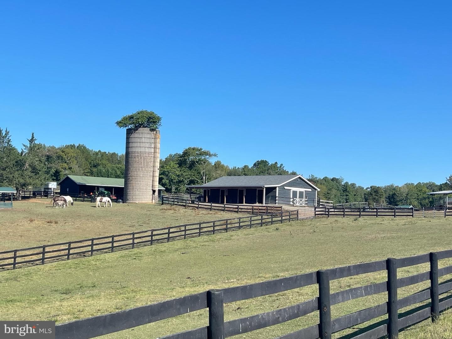7747 Riverside Farm Road photo 57