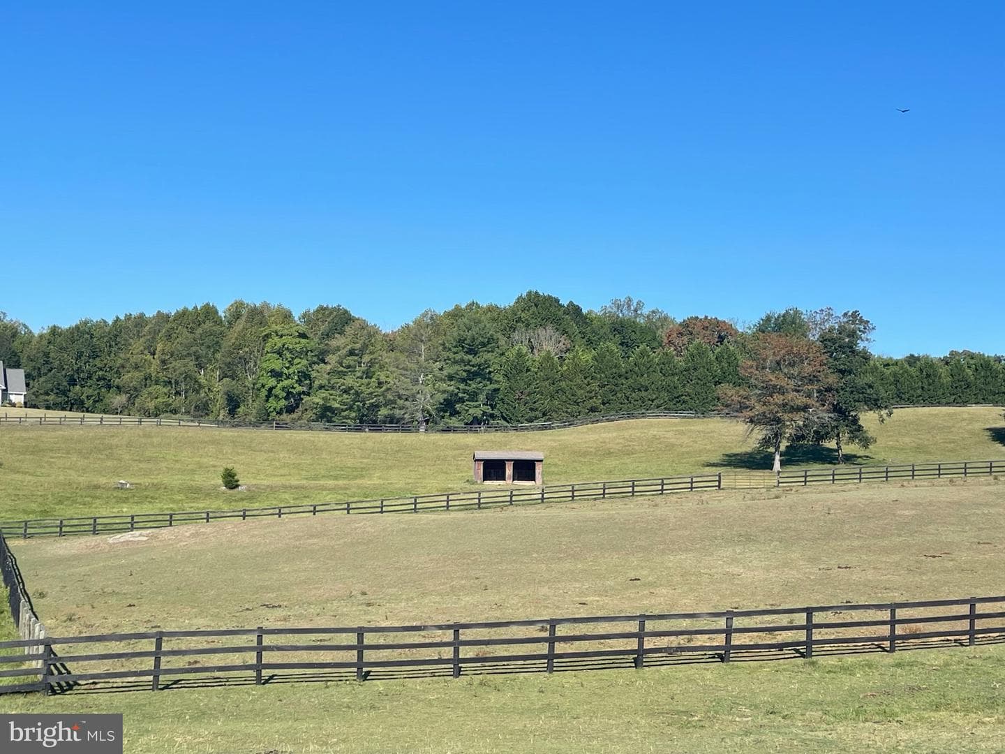 7747 Riverside Farm Road photo 60