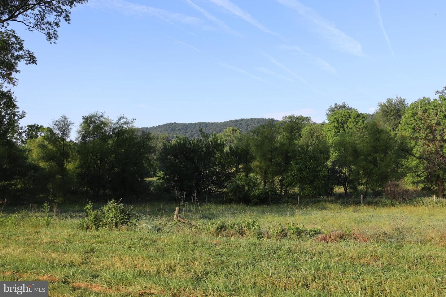 1901 Misty Meadows Lane photo 17