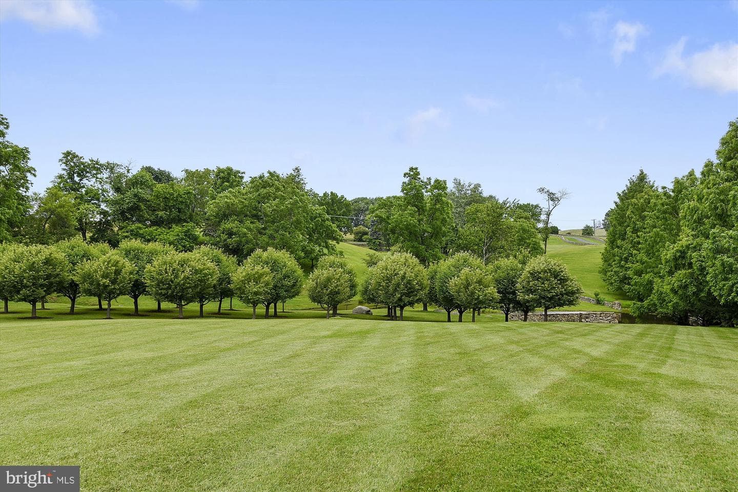 2547 Halfway Road photo 83