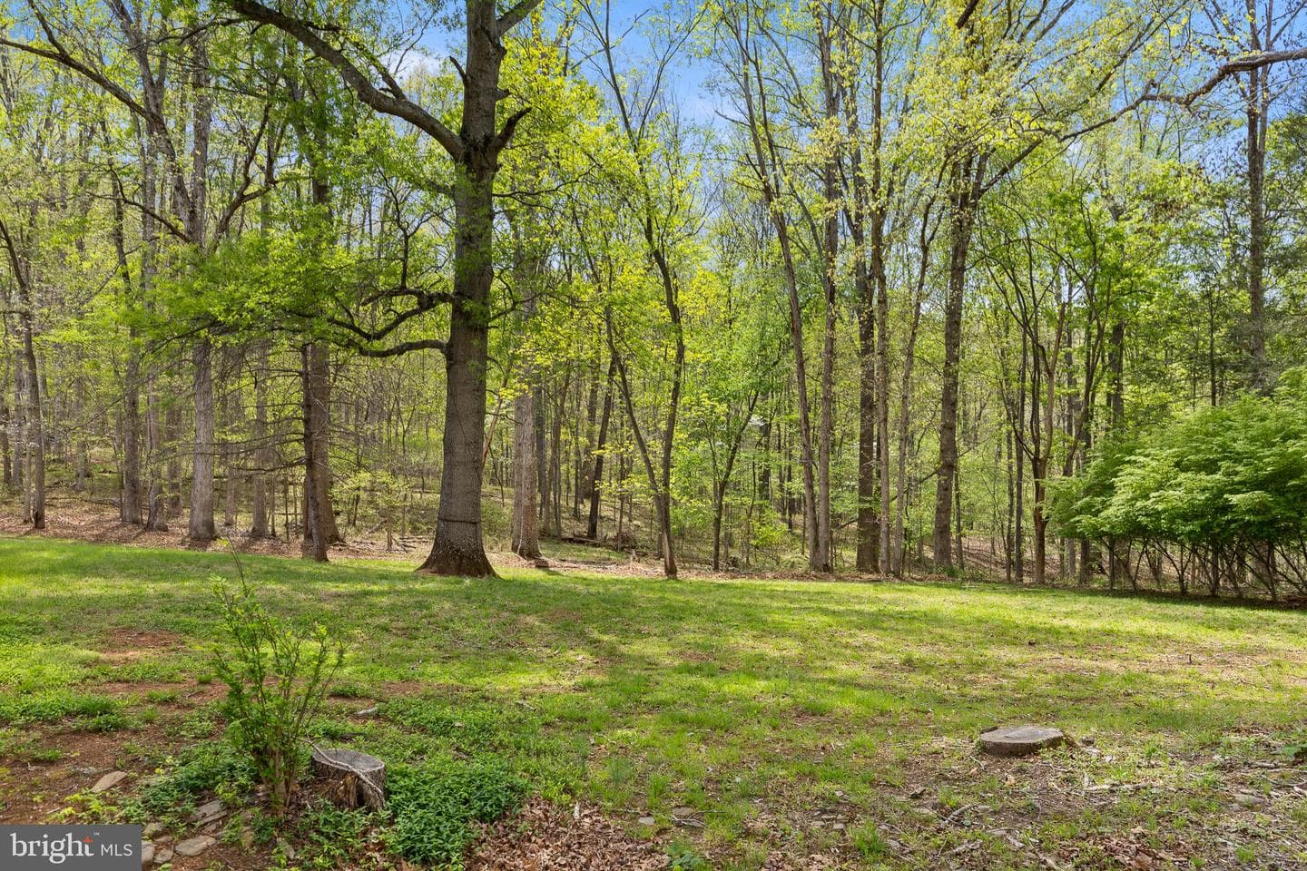 8358 Botha Road photo 31