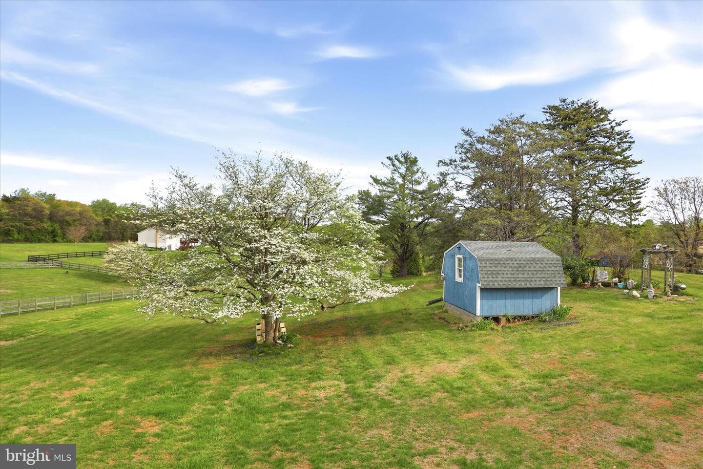 8117 Bailey Road photo 38
