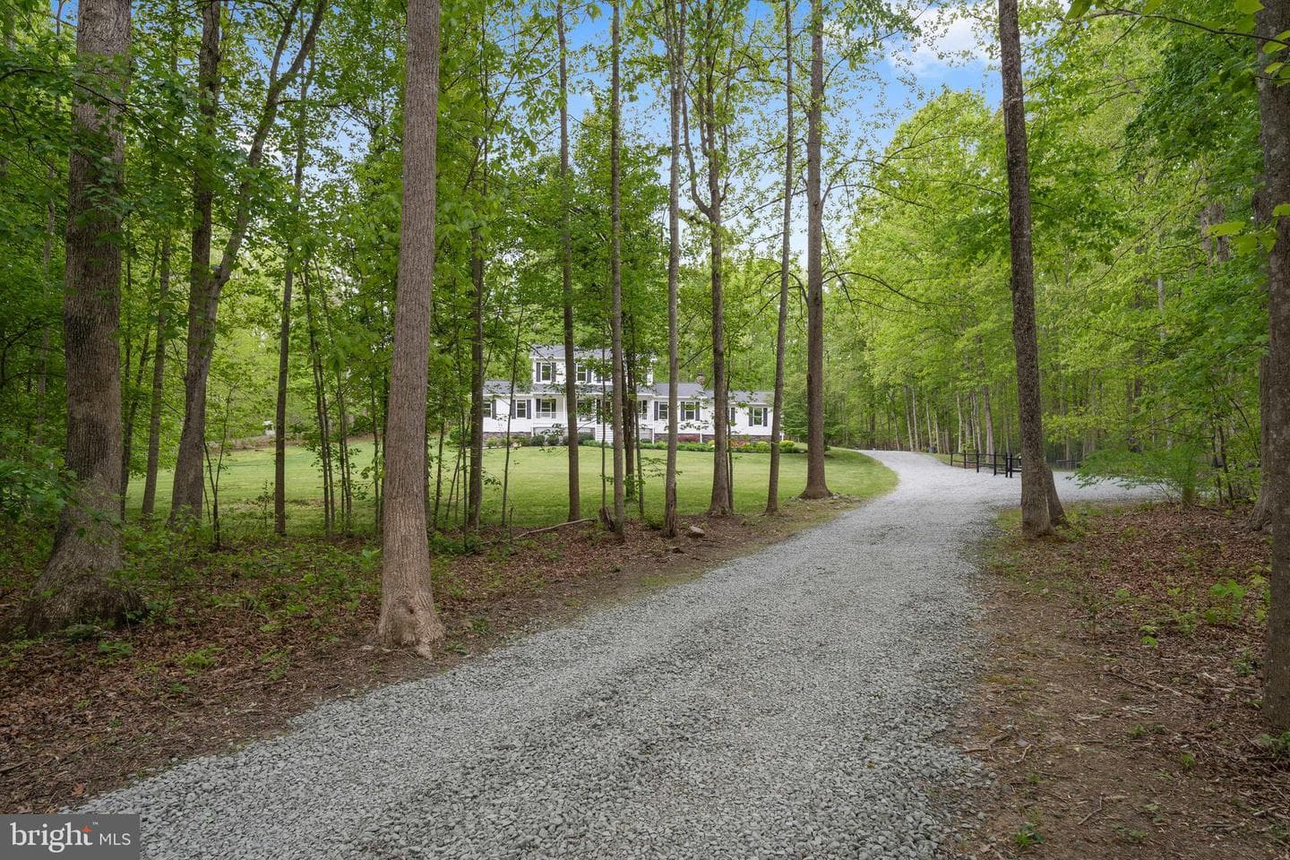 12446 Beaver Lodge Road photo 5