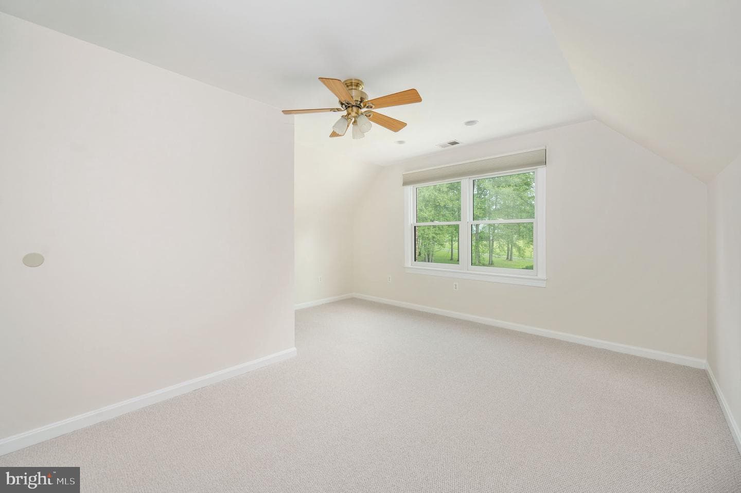 12048 Bristersburg Road photo 78