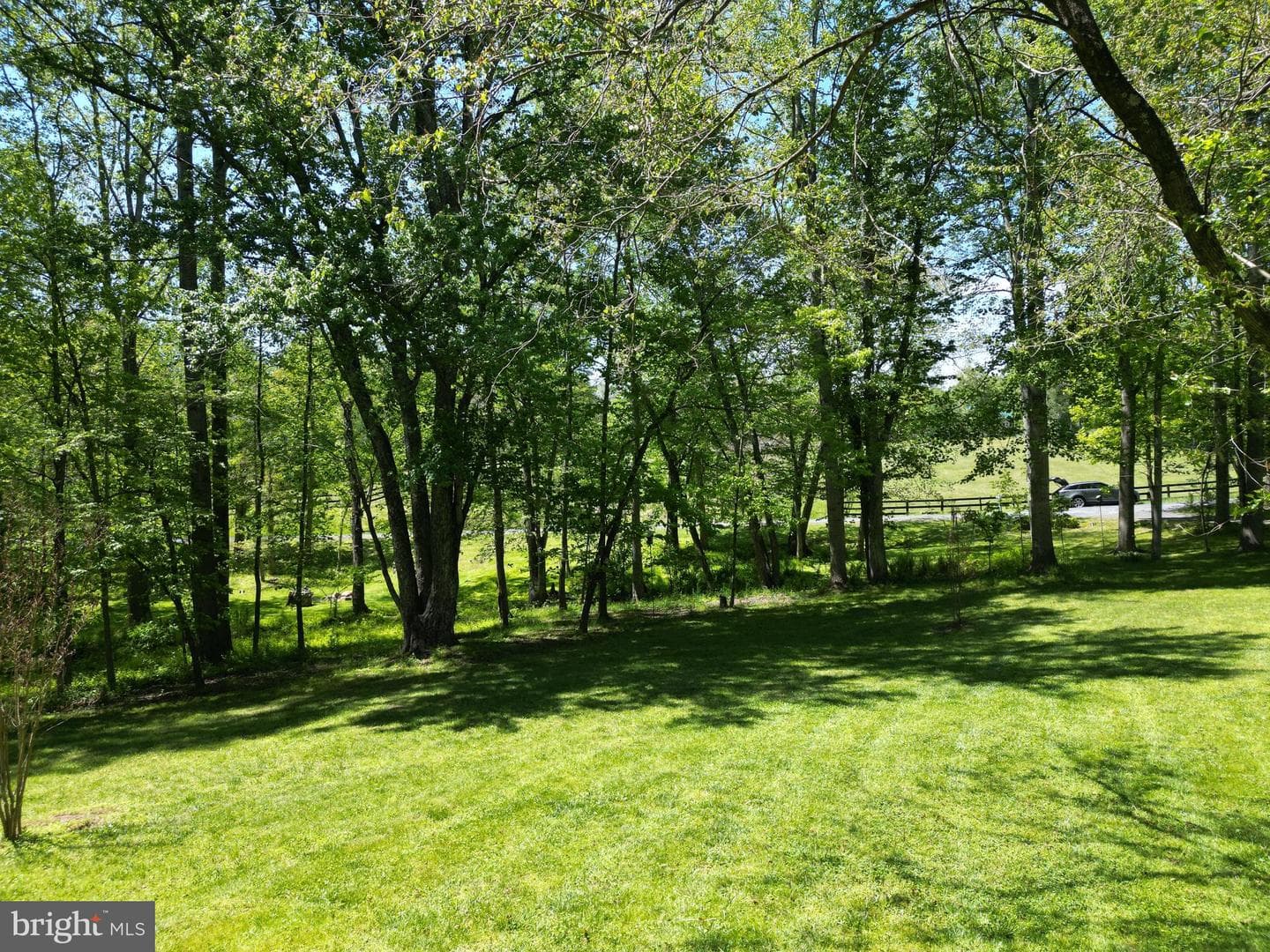 10418 Cliff Mills Road photo 44