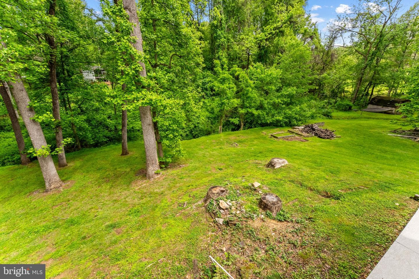 5662 Linden Court photo 43