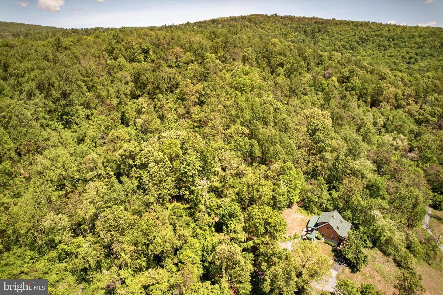 13016 Belle Meade Lane photo 8