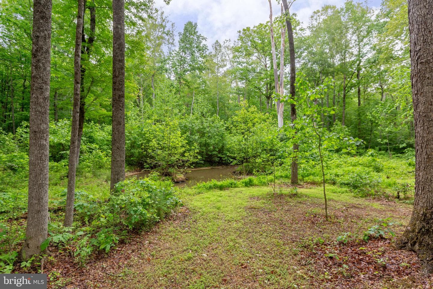 4281 Bear Bug Lane photo 47