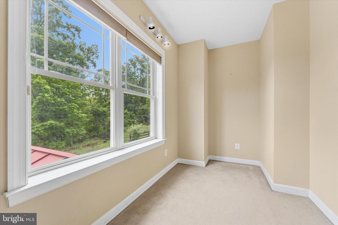 6229 Enon School Road photo 65