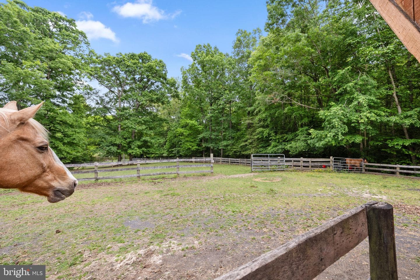 5099 Courtneys Corner Road photo 52