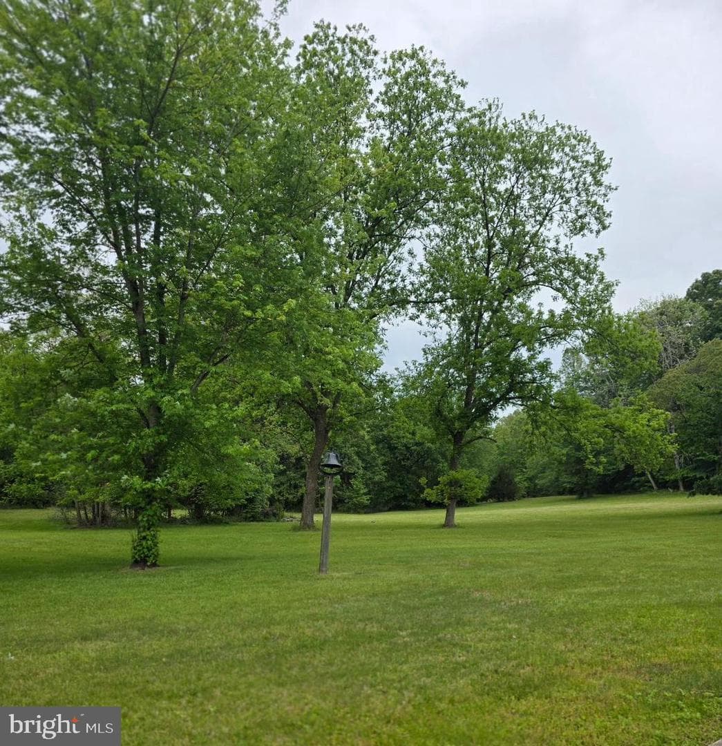 12655 Bristersburg Road photo 7