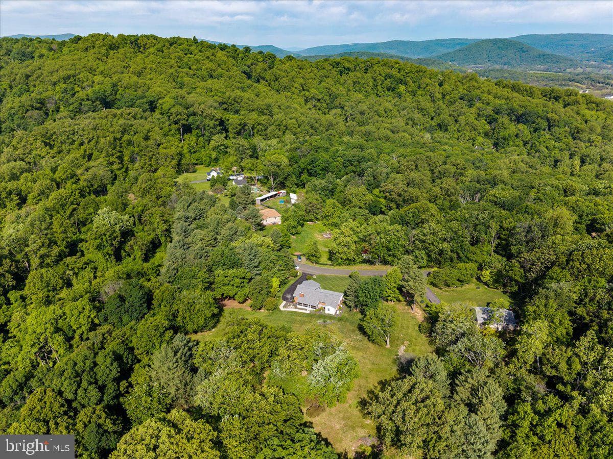 3545 Cobbler Mountain Road photo 36