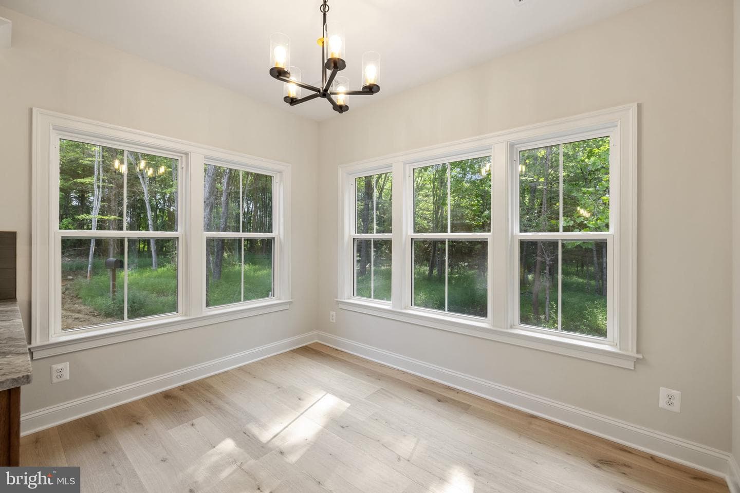 Lot 4 Gray Meadow Court photo 37