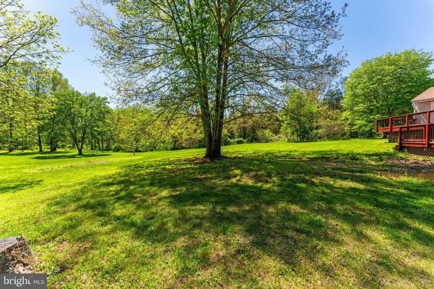 8265 Opal Road photo 70