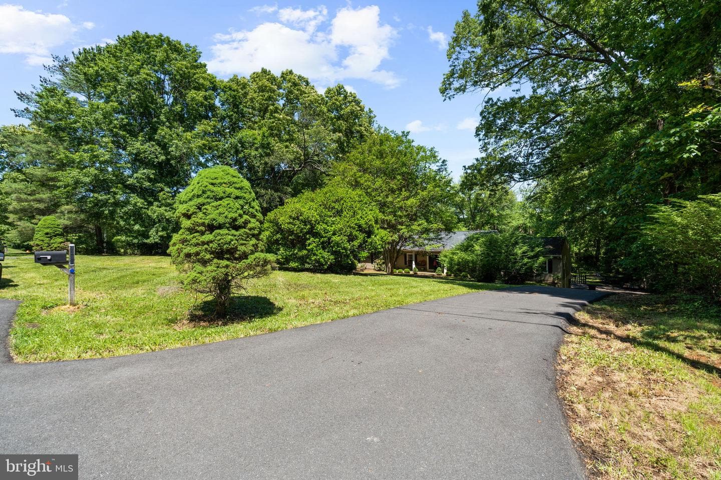 7281 Forrest Road photo 2