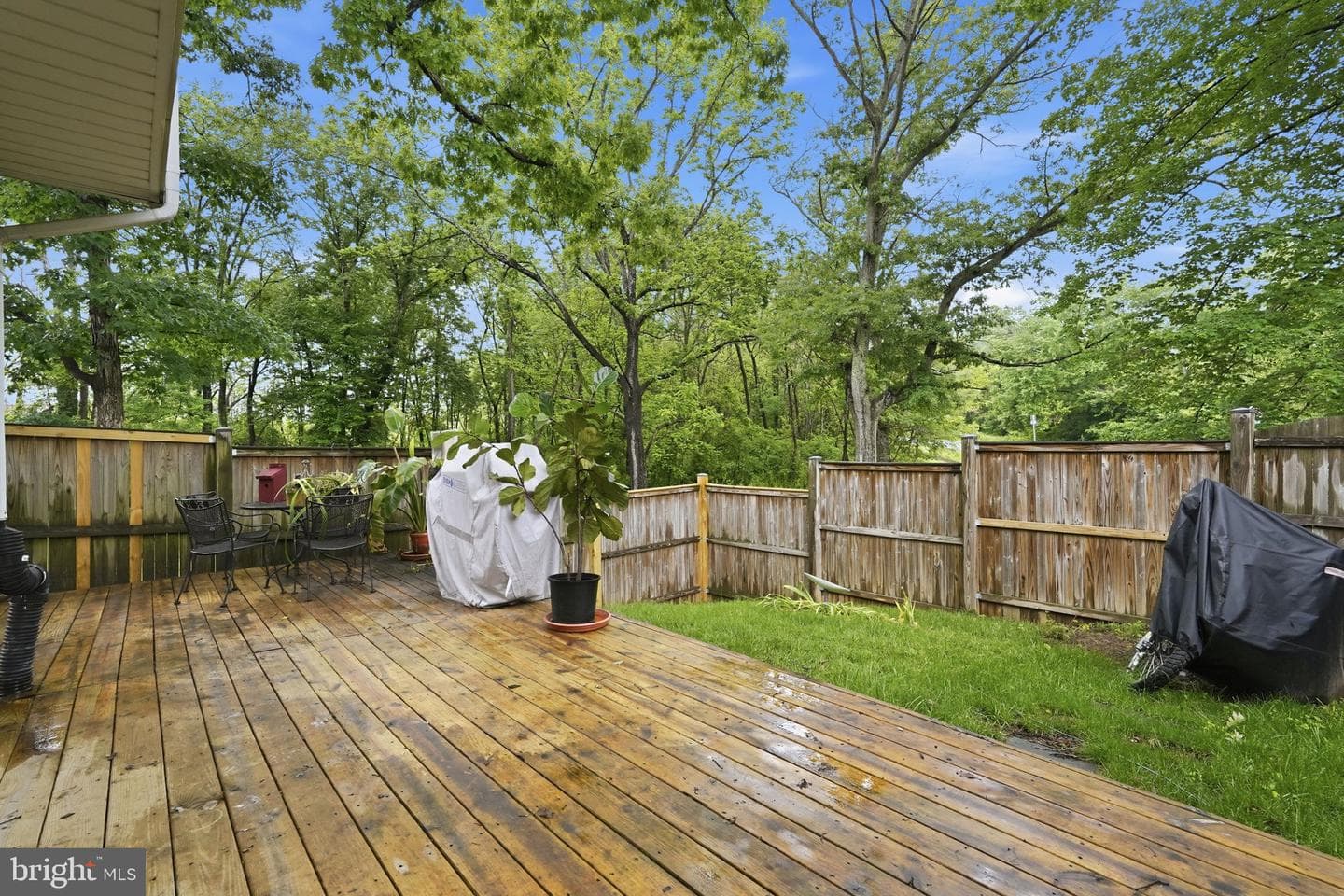 4517 Appledale Court photo 20