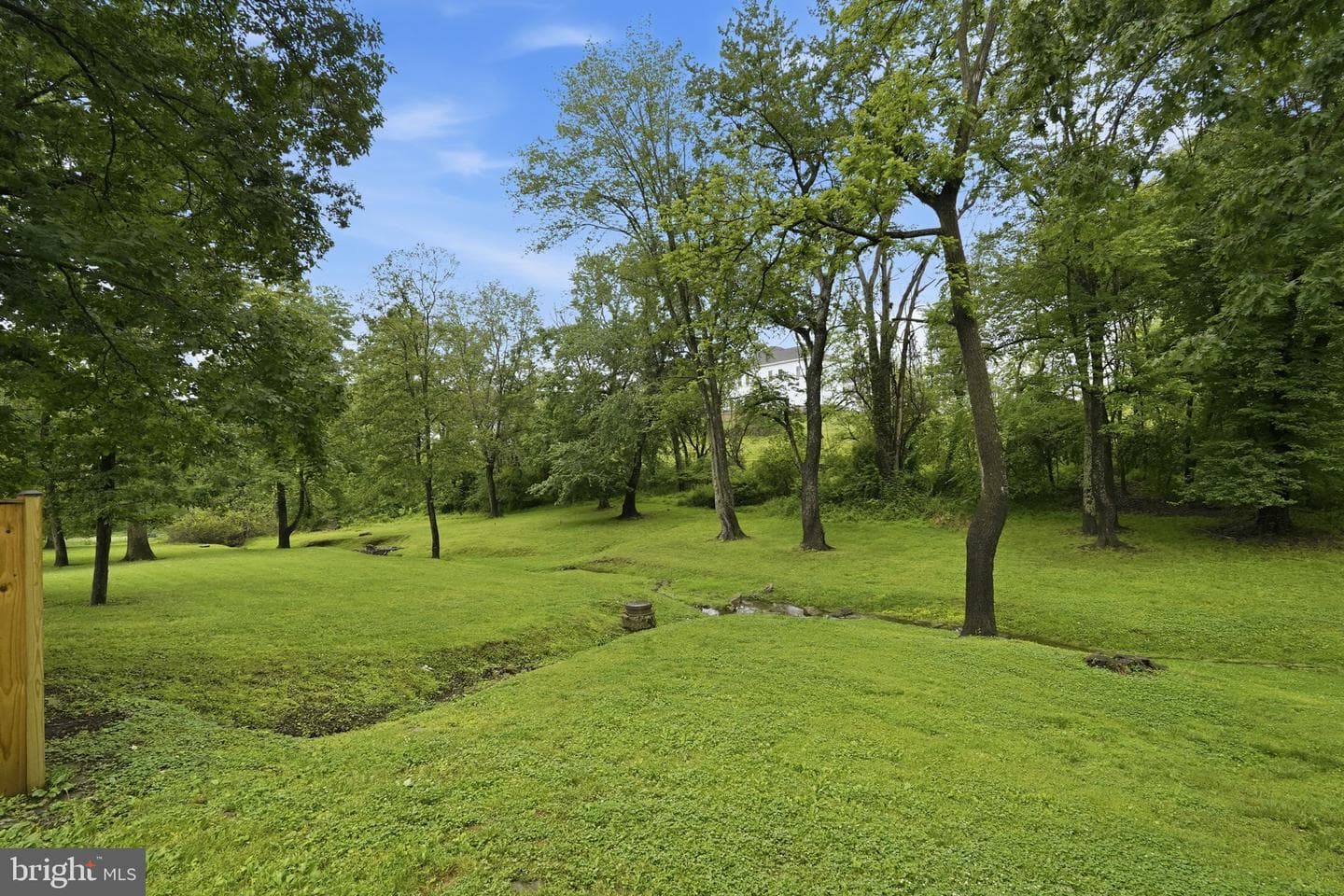 4517 Appledale Court photo 24