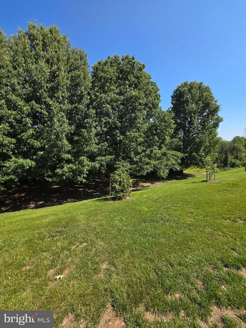 544 Highland Towne Lane photo 29