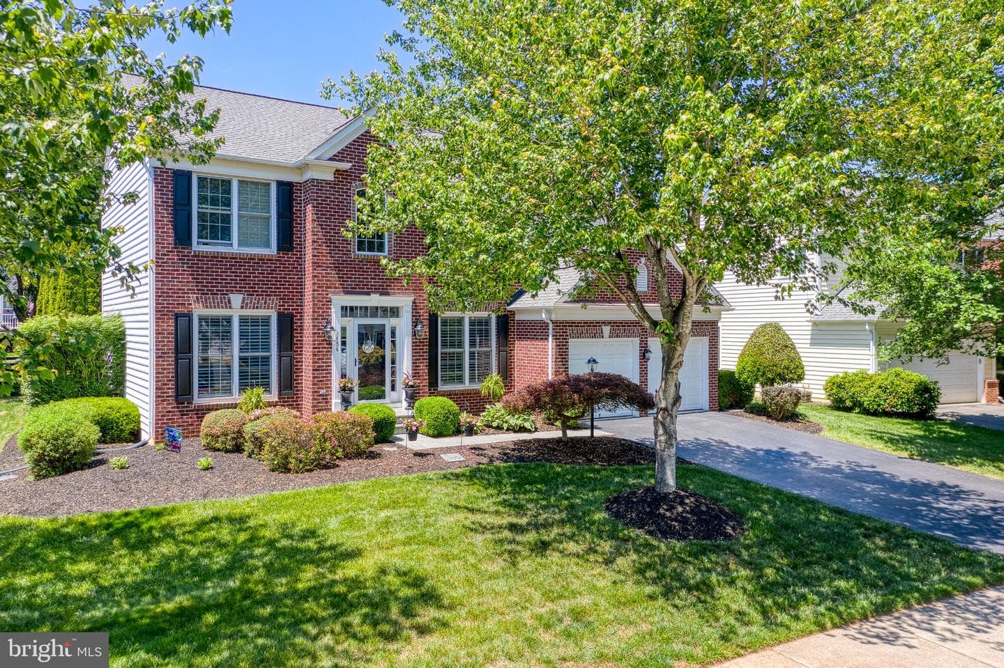 7586 Sweetgum Court photo 1