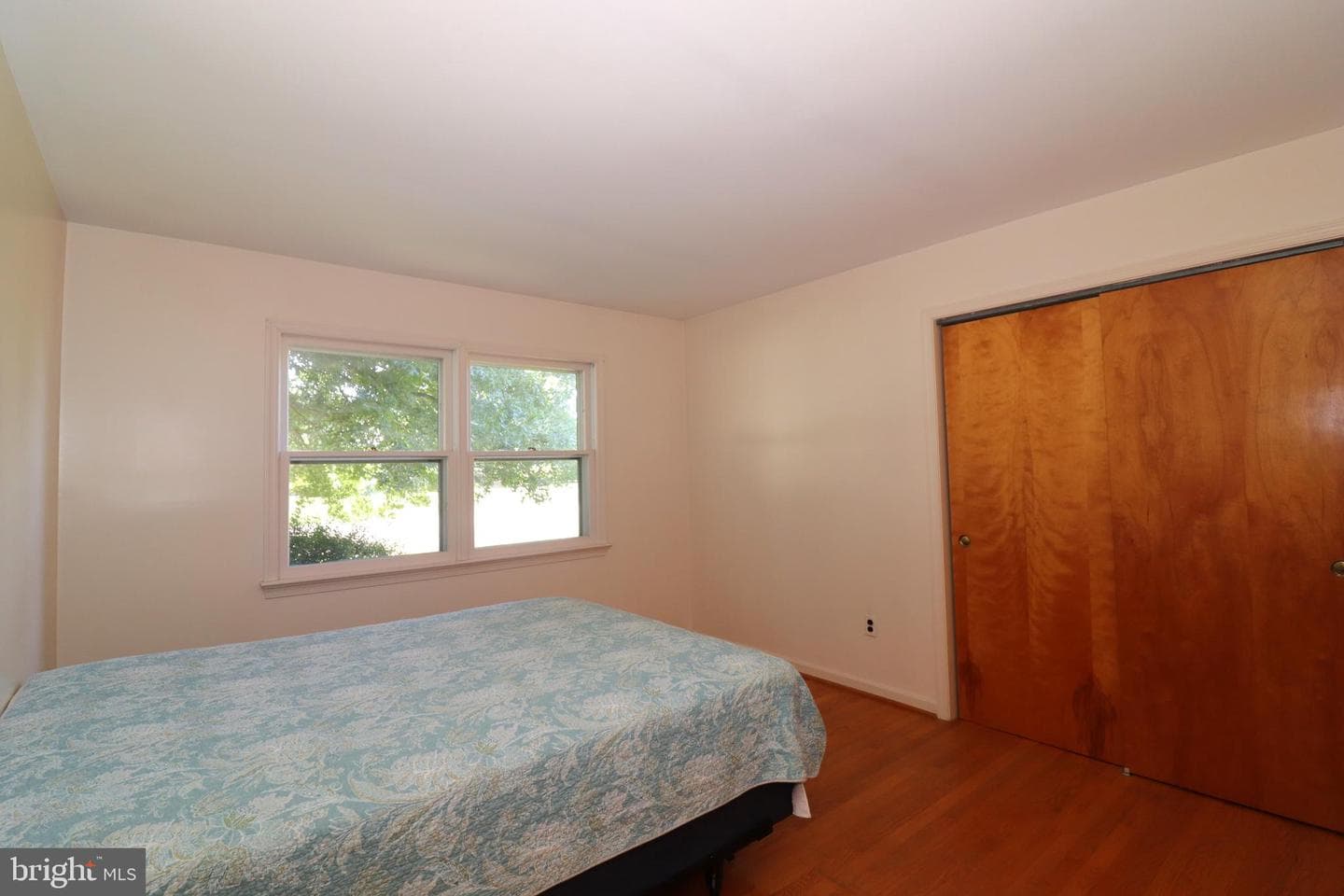 166 Elm Street photo 24