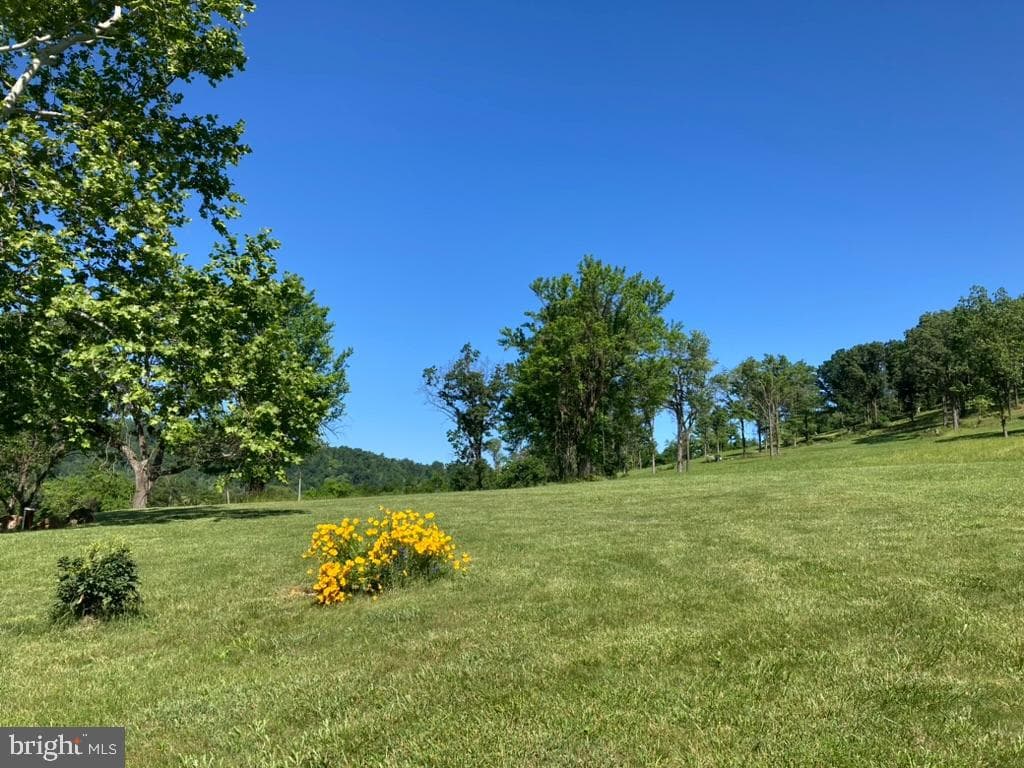 10436 John S Mosby Highway photo 13