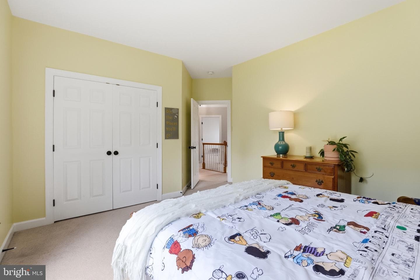 7584 Bald Eagle Drive photo 48